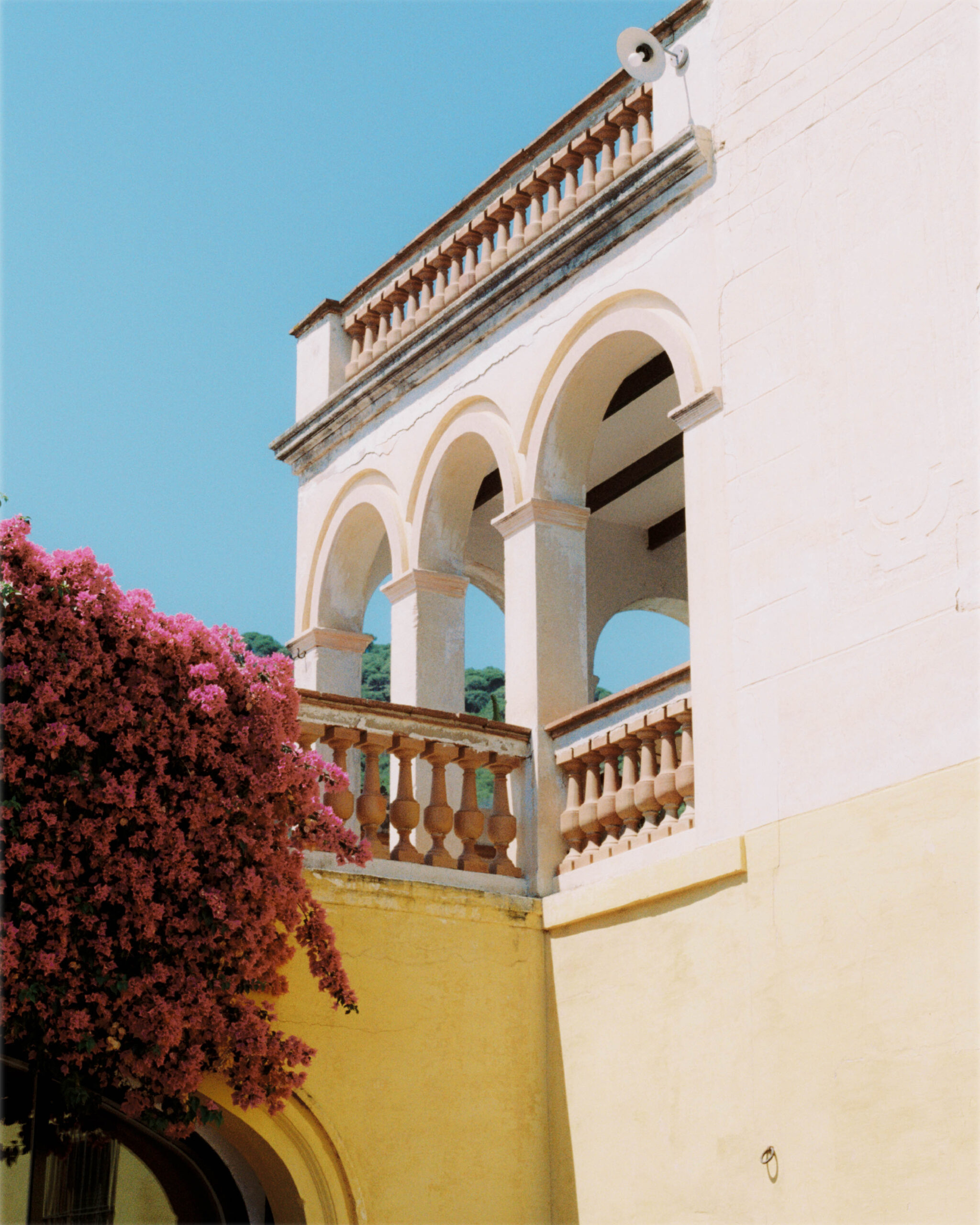 ANTIQUA_CANCASADELLÀ_4