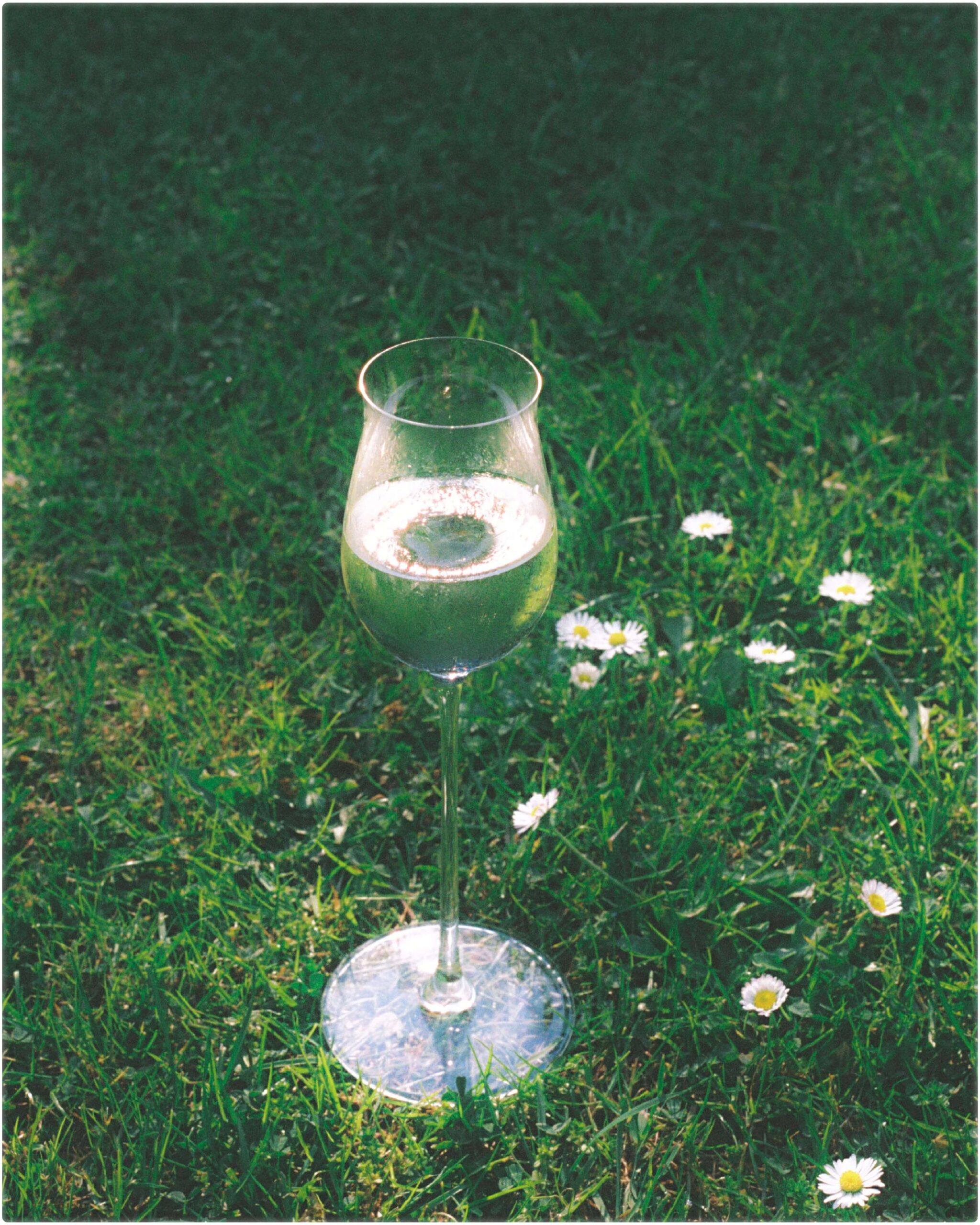 LES COLS_MARIACAPDEVILA_4