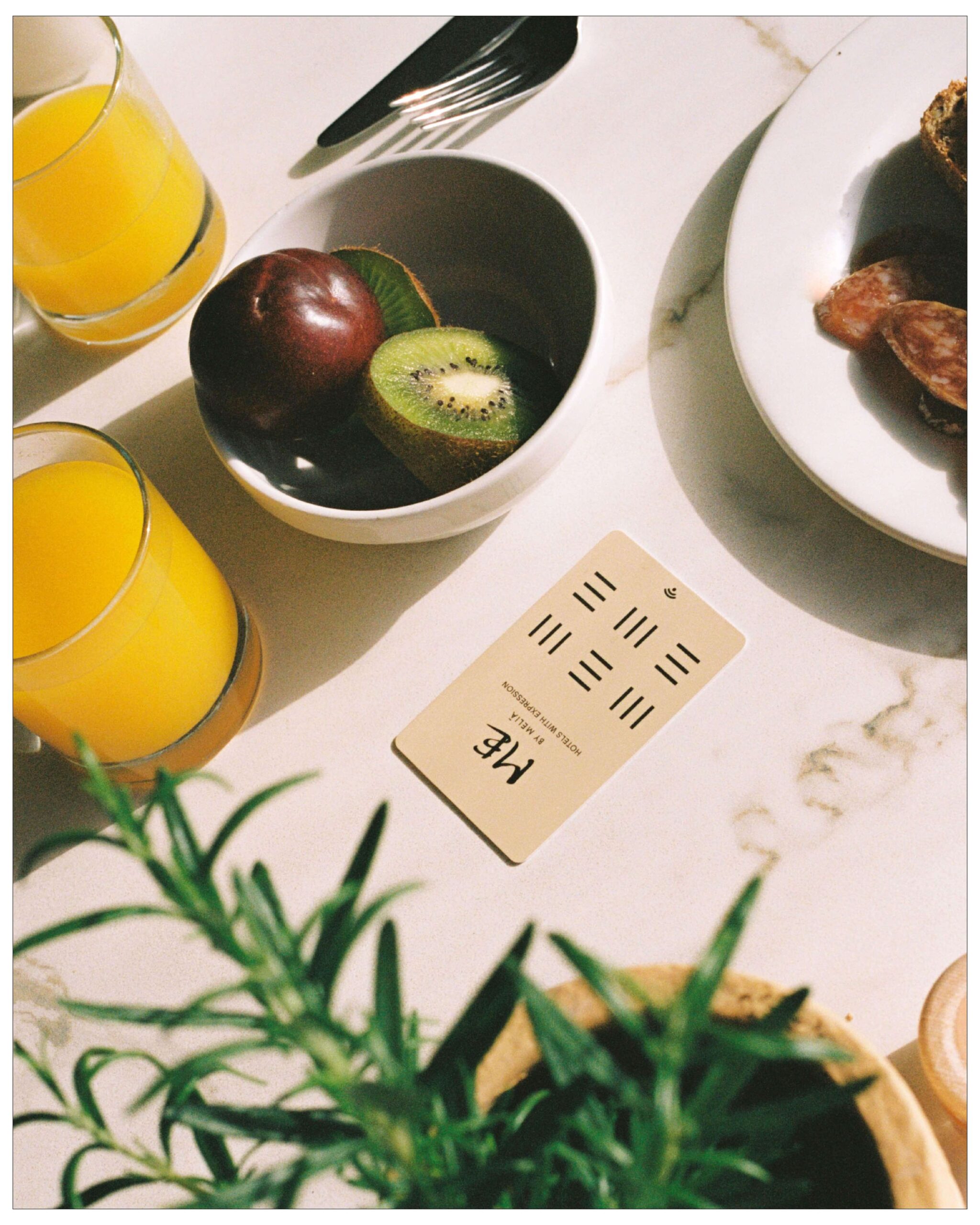 MESITGES_BYMARIACAPDEVILA_13